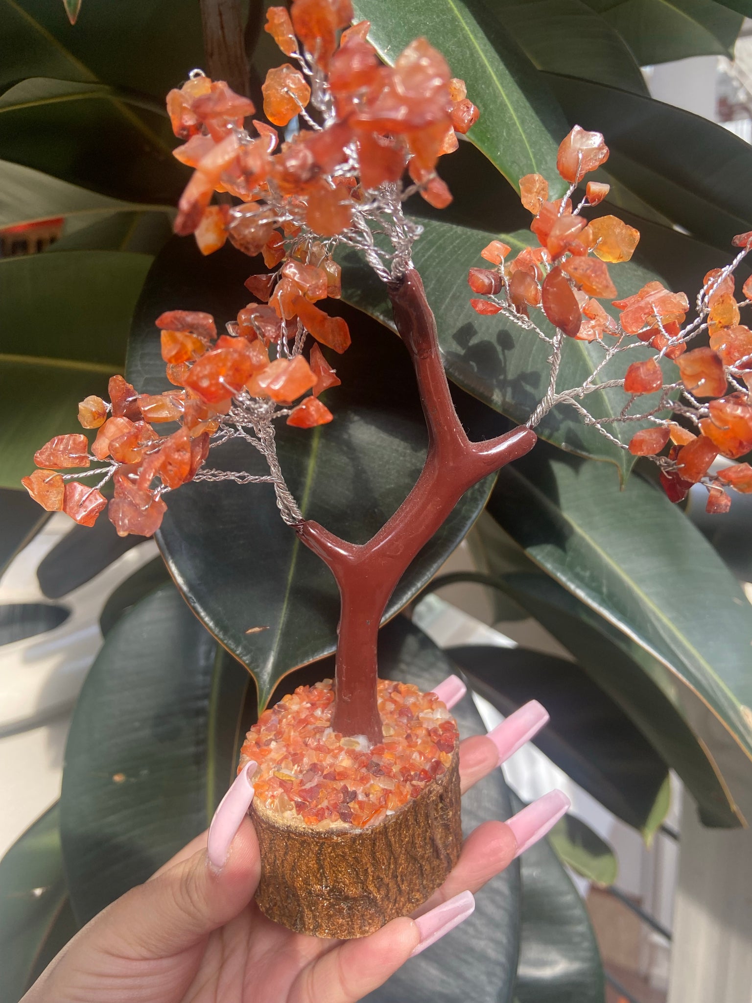 Carnelian tree