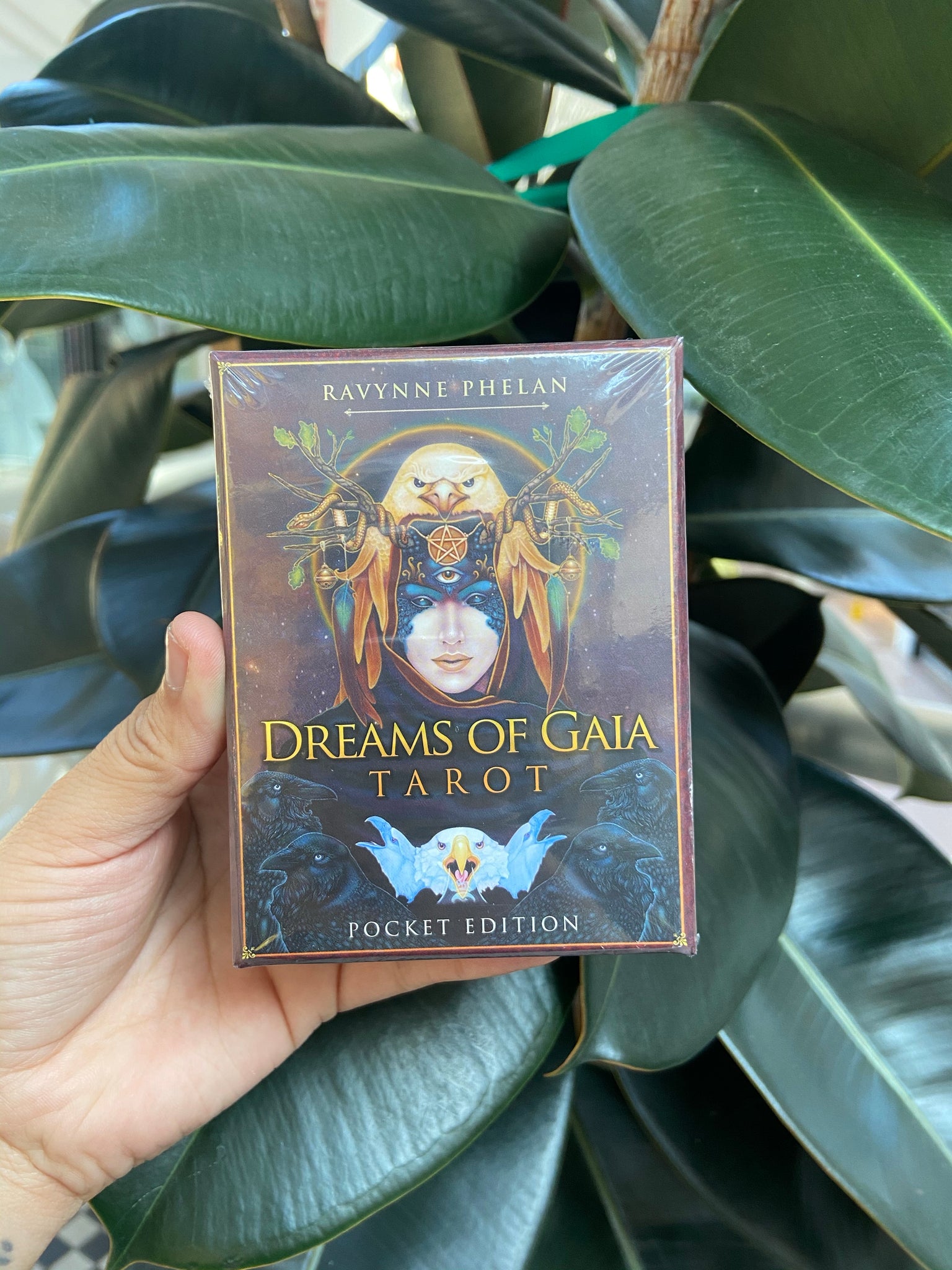 Dreams of Gala Tarot  card