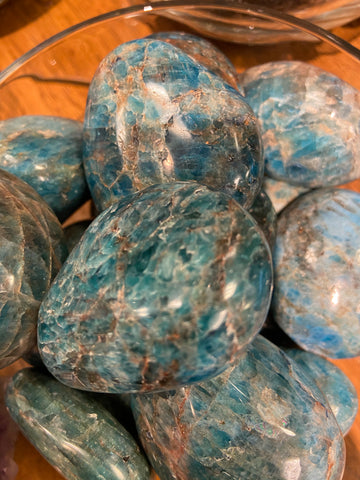 Blue apet