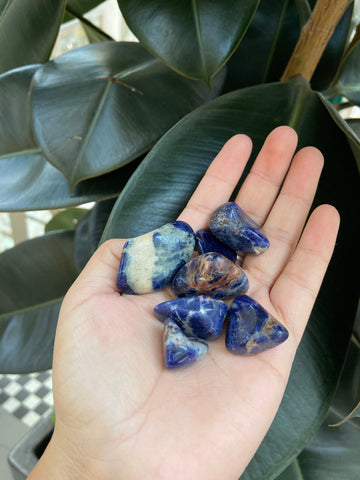 Lapis lazuli Crystal Trumbull