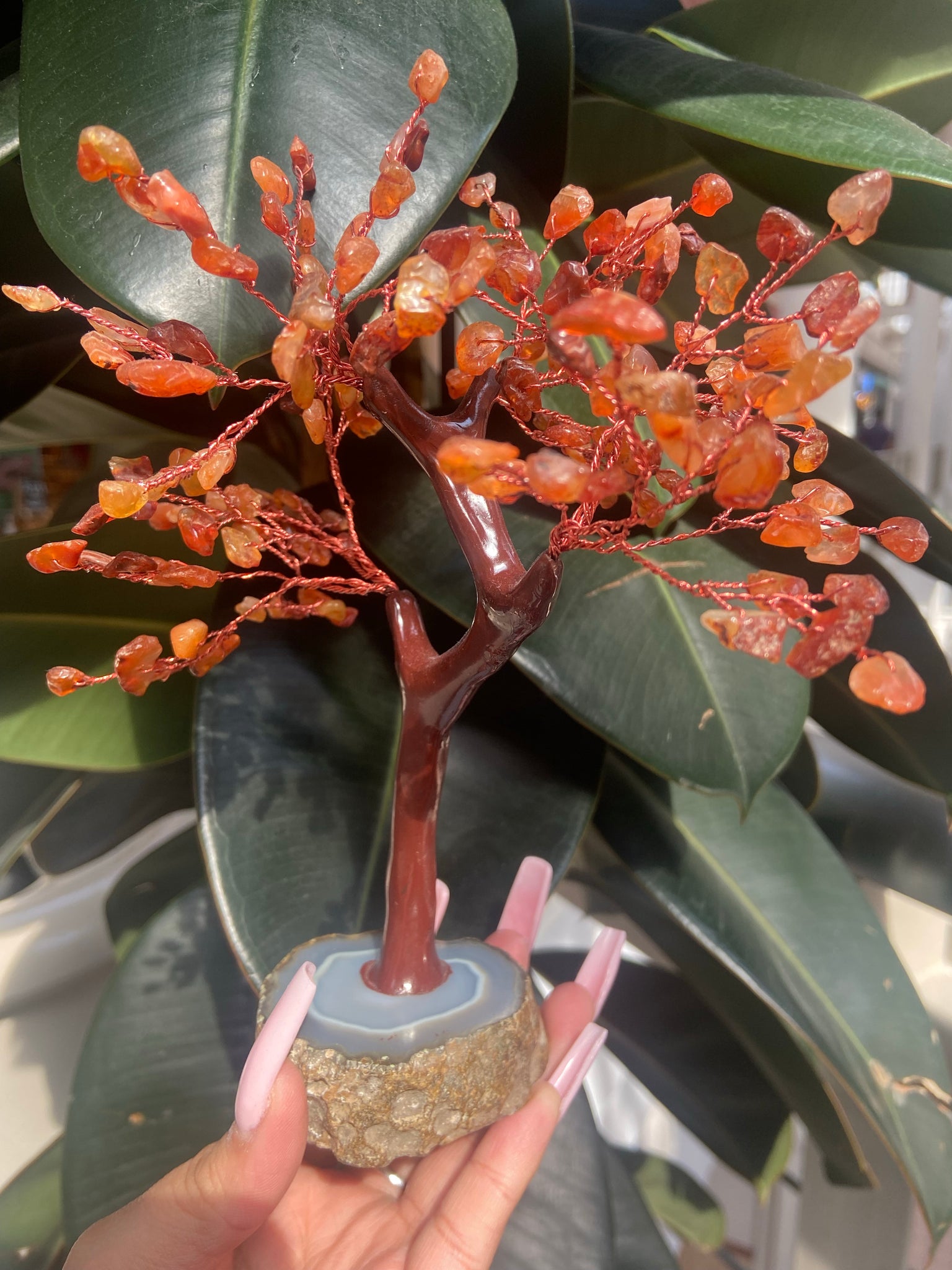 Carnelian tree with agate