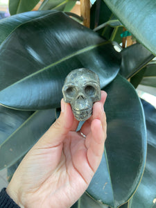 Small medium size pyrite skulls